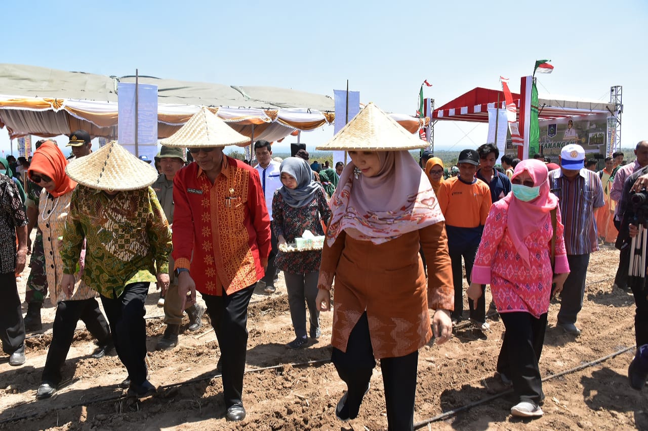 Pertanian Pola Irigasi Tetes, Terobosan Baru Mewujudkan NTB Gemilang