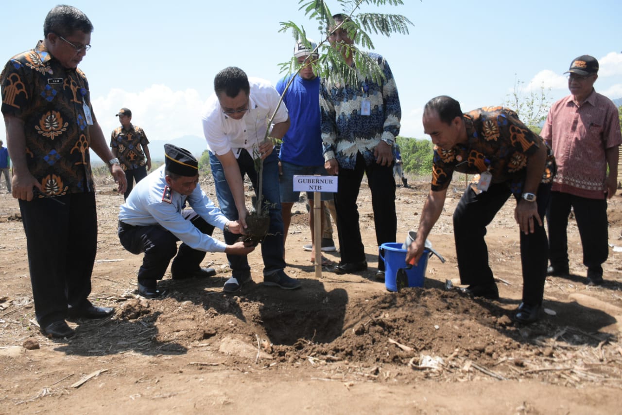 MARI KITA HIJAUKAN KEMBALI NTB