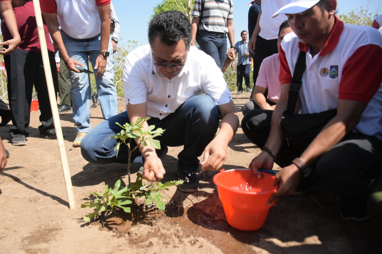 HARI MENANAM POHON  INDONESIA