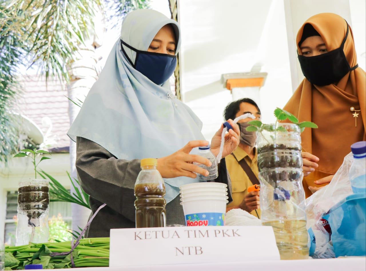 HIDROPONIK, SOLUSI BERTANI DI SEMPITNYA LAHAN PERKOTAAN