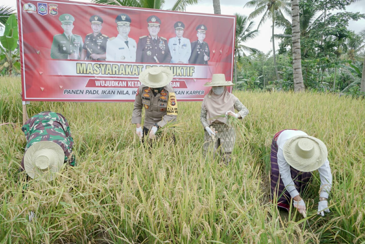 PANGLIMA TNI DAN KAPOLRI LUNCURKAN KAMPUNG TANGGUH NUSANTARA DI DESA KEMBANG KUNING