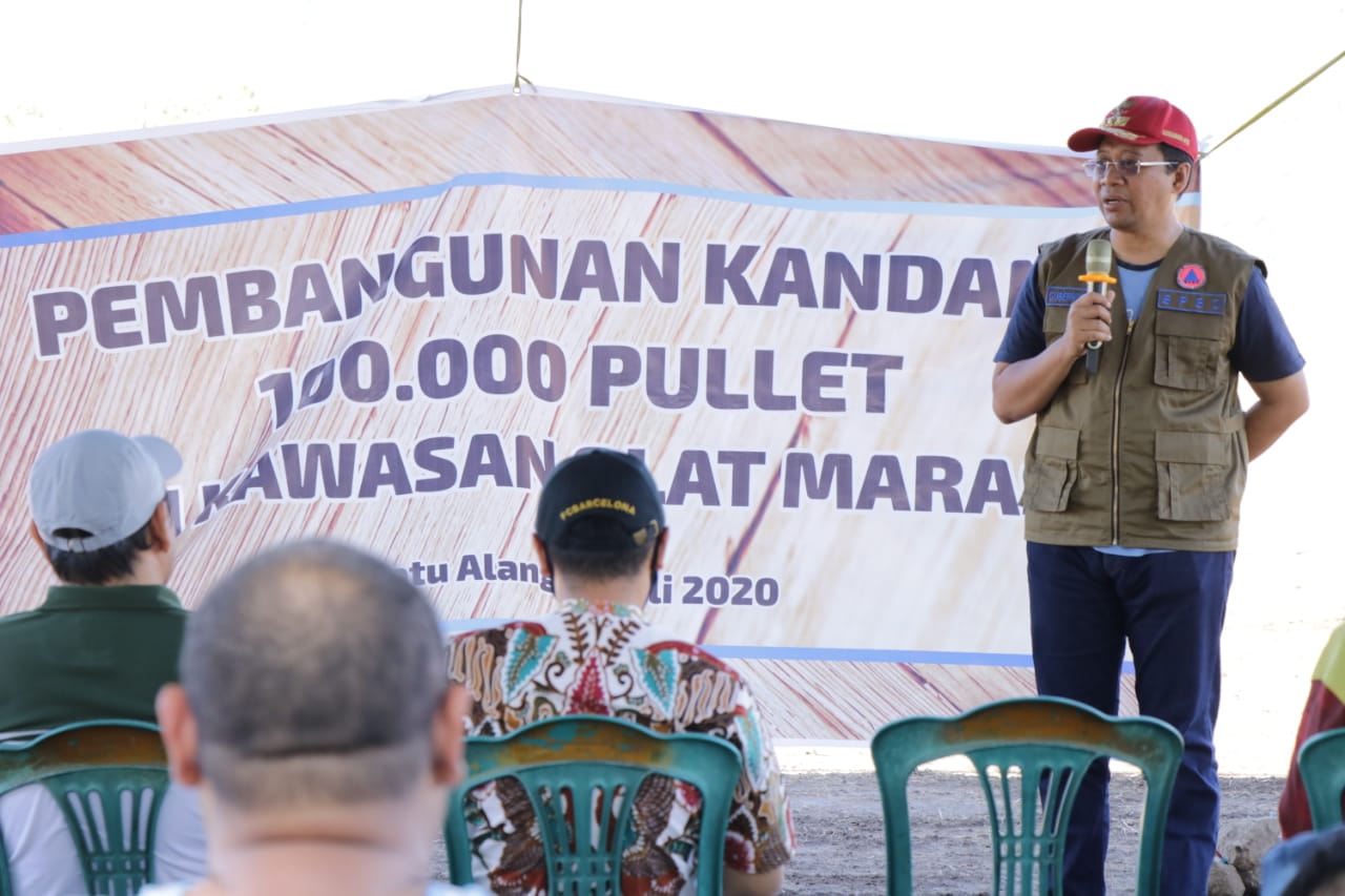100.000 PULLET, LANGKAH AWAL BANGUN INDUSTRI PETERNAKAN DI NTB