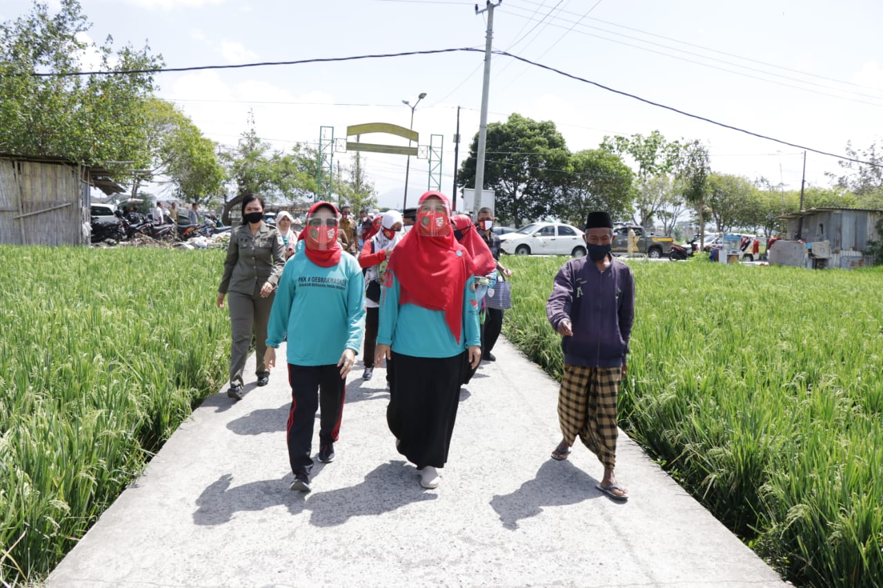 PKK NTB DAN PKK KOTA MATARAM GANDENG IKAPTK UNTUK "GEBRAK MASKER"