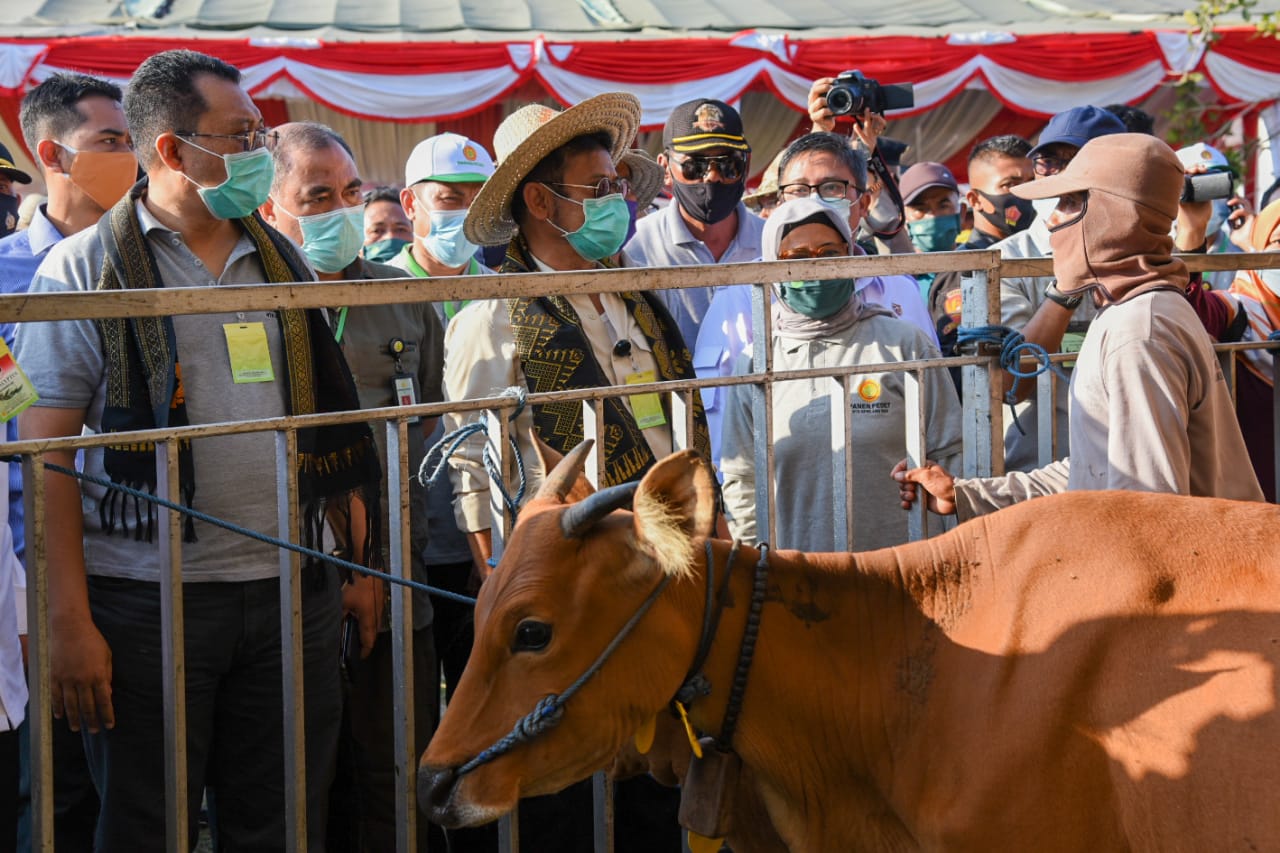 MENTERI PERTANIAN RI KAGUMI GAIRAH SEKTOR PERTANIAN DAN PETERNAKAN NTB