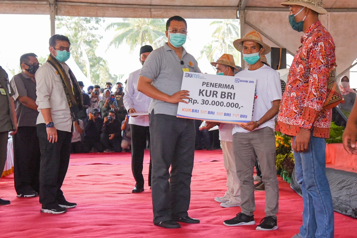 PETERNAK DI NTB SUMRINGAH, DAPAT BANTUAN TERNAK DARI PEMERINTAH DAN PEMPROV NTB