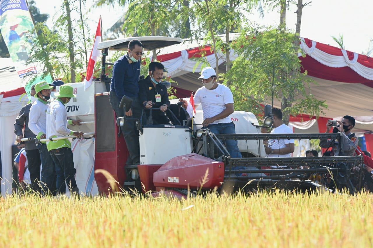 PANEN RAYA, MENTERI PERTANIAN PUJI KIPRAH GUBERNUR NTB