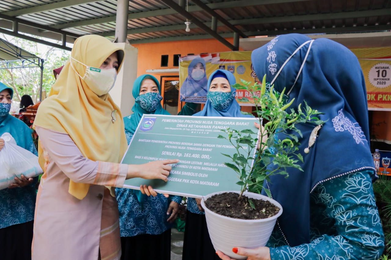 SAMBIL BINA PROGRAM POKOK PKK KABUPATEN/KOTA, BUNDA NIKEN TEKANKAN PENGGUNAAN MASKER