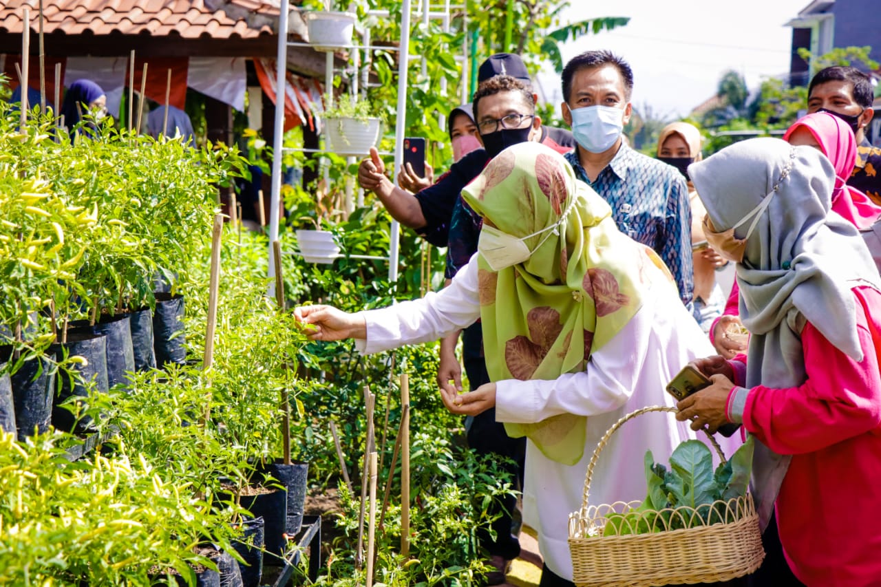 KELOMPOK WANITA TANI DIDORONG TETAP PRODUKTIF DI MASA PANDEMI