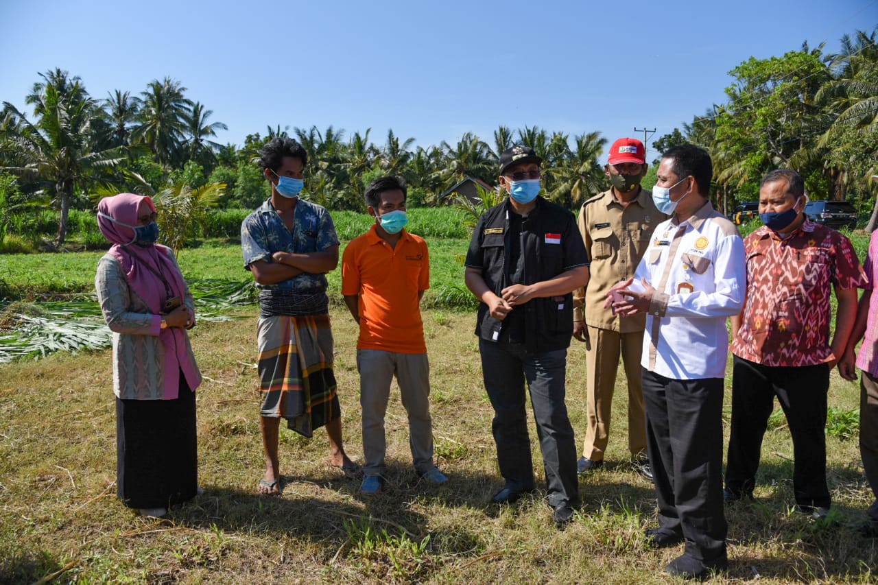 PEMERINTAH PUSAT DAN PEMERINTAH PROVINSI NTB BERSINERGI SUKSESKAN PROGRAM 1000 DESA SAPI
