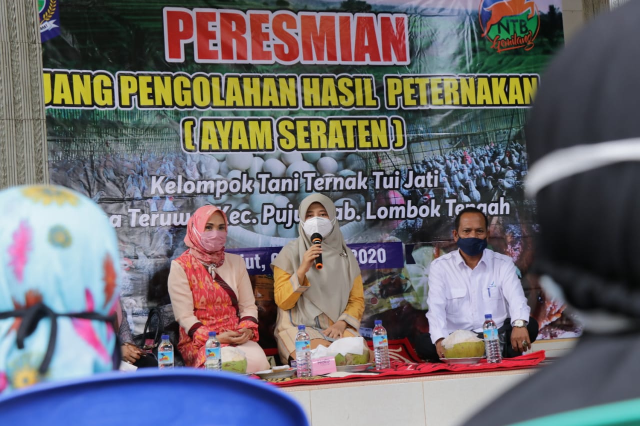 NTB BERUPAYA TINGKATKAN EKONOMI MASYARAKAT MELALUI PENGOLAHAN HASIL TANI TERNAK