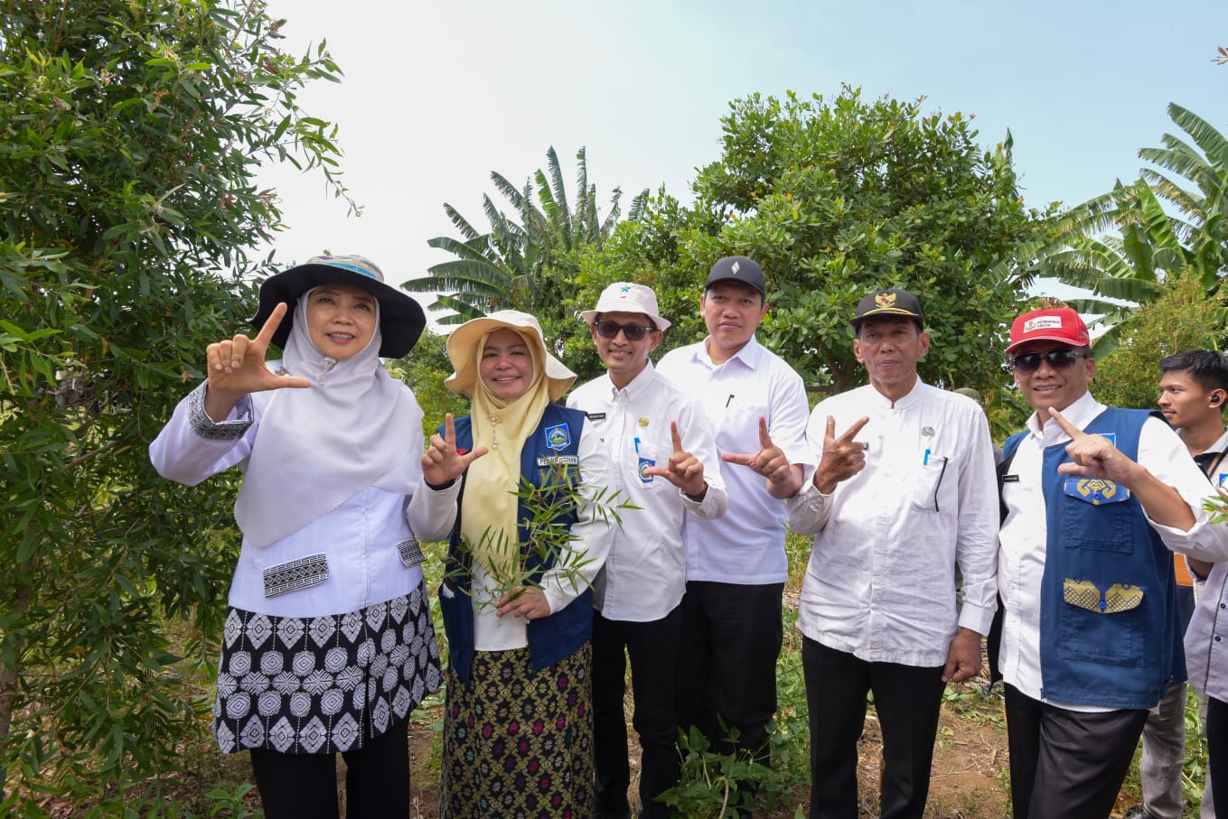Wagub NTB Panen Perdana Daun Kayu Putih di Desa Gunung Malang