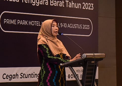 Inovasi Bakti Stunting, Wagub NTB Raih Penghargaan dari BKKBN RI