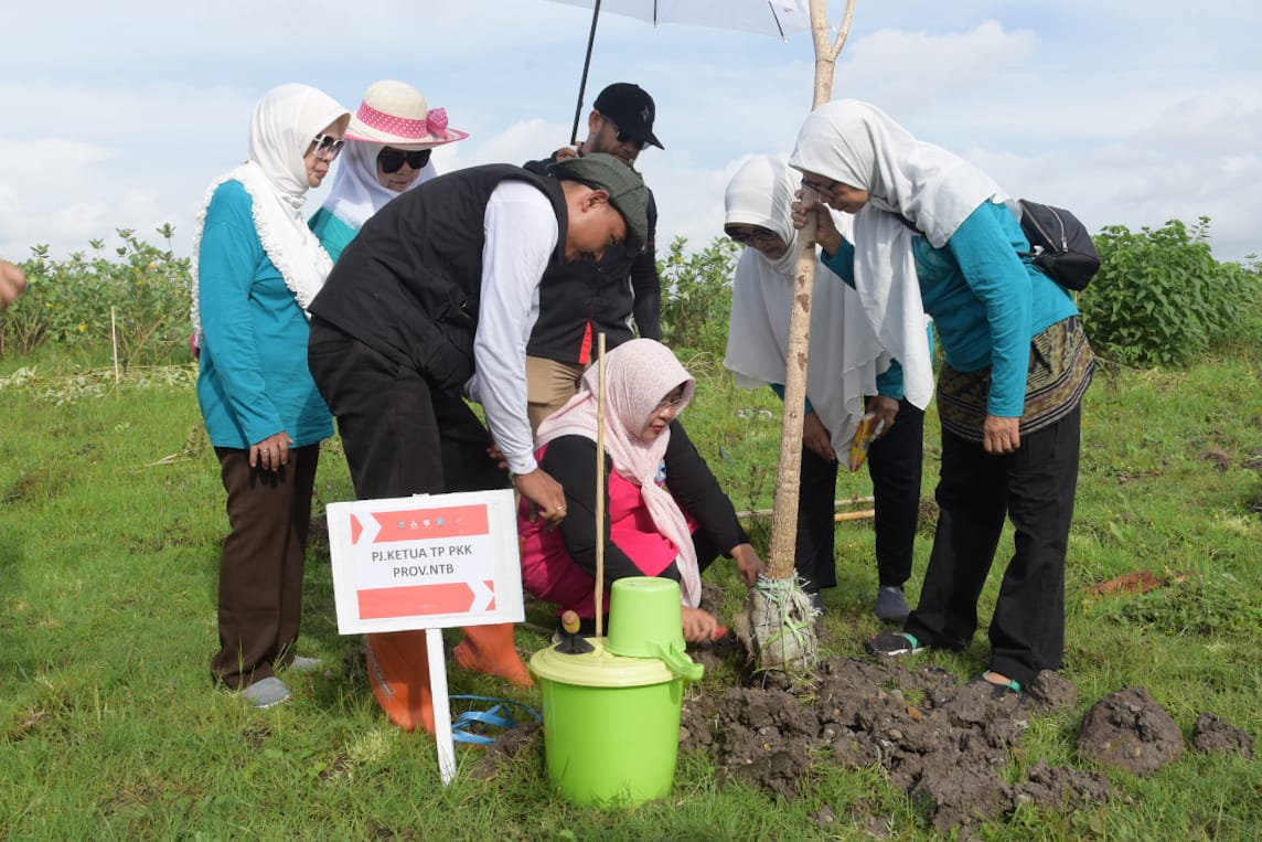 Hijaukan NTB, Bunda Lale Tanam Pohon di Cargo Parking BIZAM