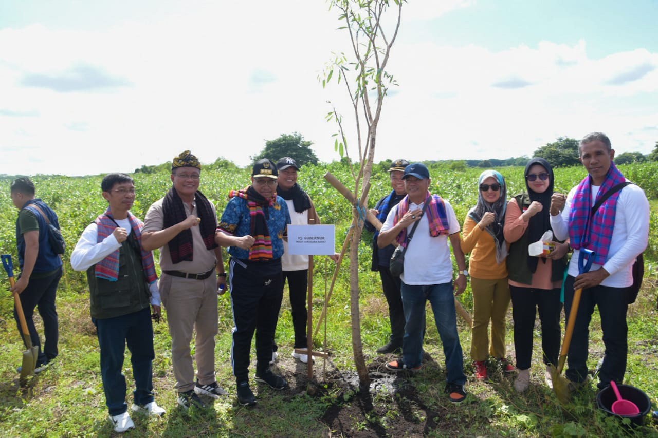 Pj Gubernur NTB Hijaukan Jalan Kawasan BIZAM